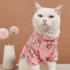 Diseño sin título (50) POLERA GATITOS - Ropa para perros y gatos