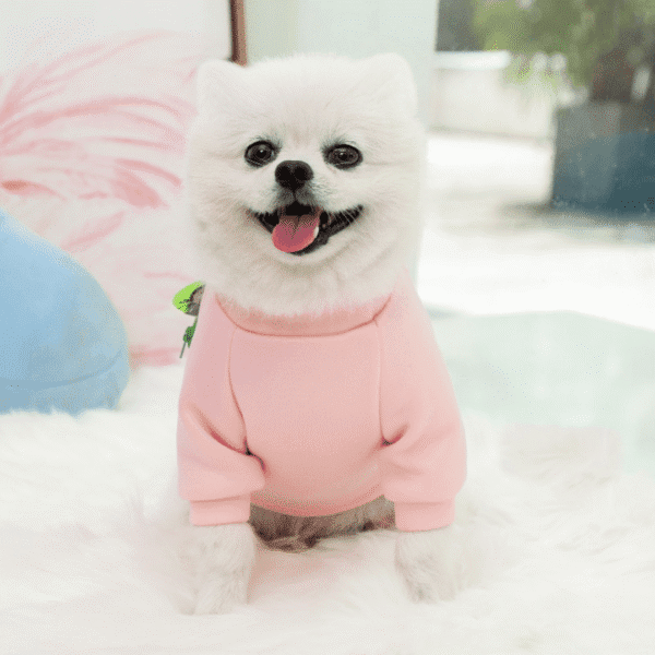Diseño sin título (55) POLERA CON CANGURO - Ropa para perros y gatos