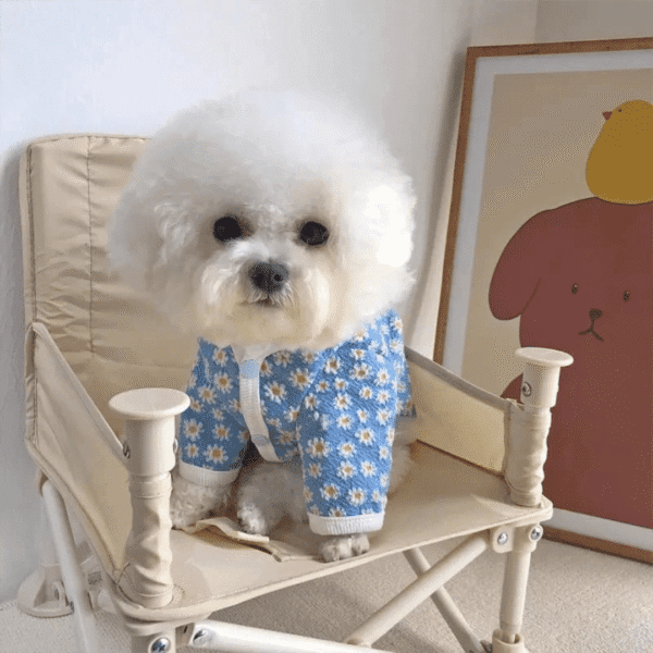 POLERA FLORES CELESTE - Ropa para perros y gatos