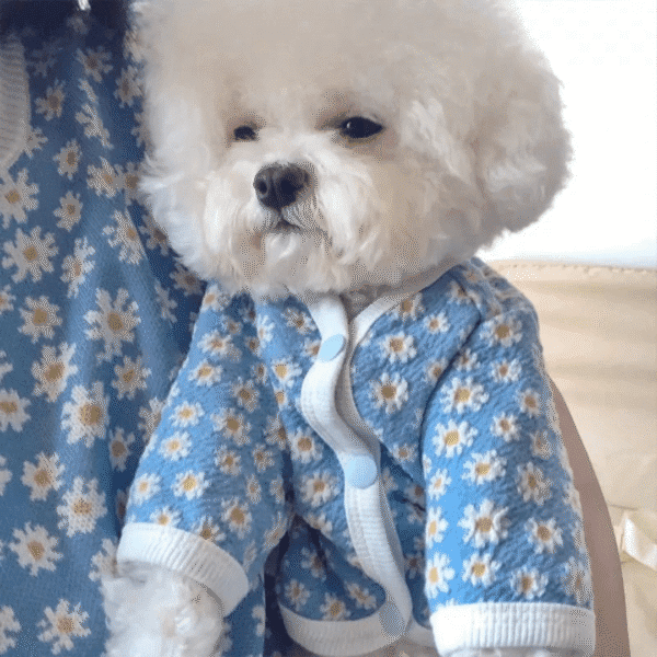 POLERA FLORES CELESTE - Ropa para perros y gatos