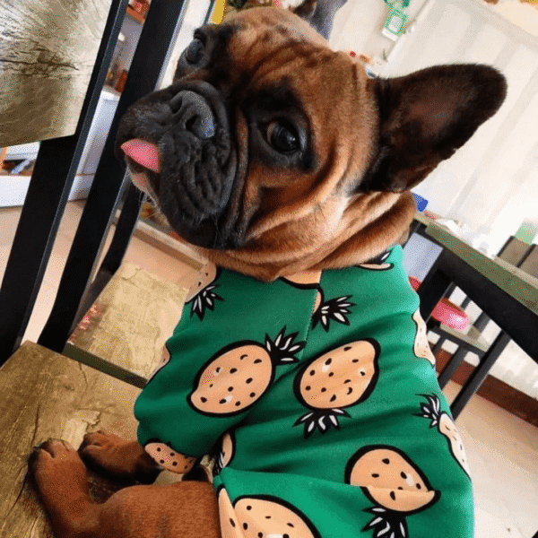 POLERA PIÑA VERDE - Ropa para perros y gatos