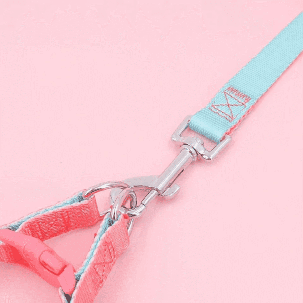 ARNÉS DUAL + CORREA - Accesorios para perros