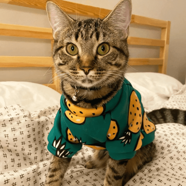 POLERA PIÑA VERDE - Ropa para perros y gatos