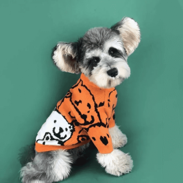 CHOMPA OSO - Ropa para perros y gatos