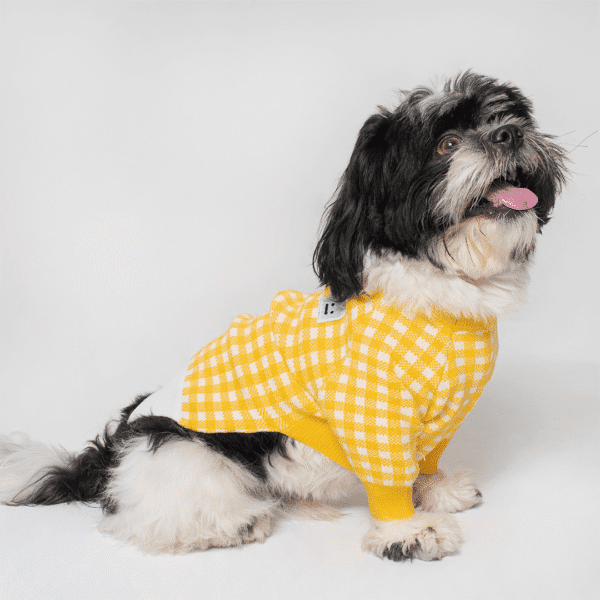CHOMPA CUADROS - Ropa para perros y gatos
