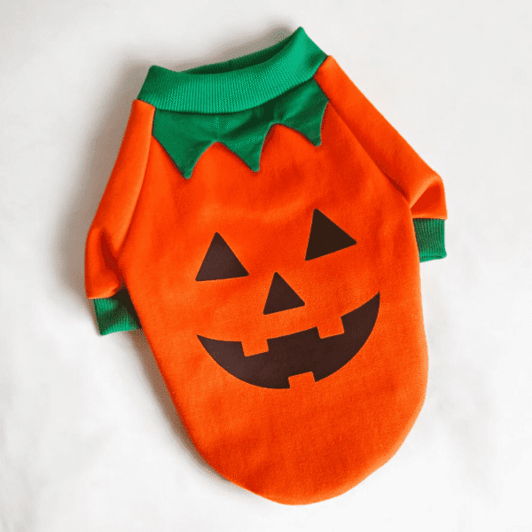 Diseño sin título (69) POLERA CALABAZA - Ropa para perros y gatos