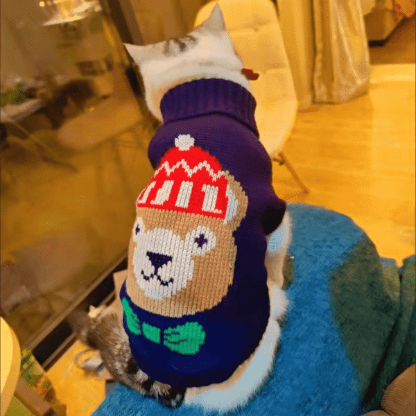 Diseño sin título (7) CHOMPA OSITO AZUL - Ropa para perros y gatos