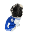 Diseño sin título (75) CASACA COLEGIO AZUL - Ropa para perros y gatos