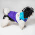 CHALECO ACOLCHADO - Ropa para perros y gatos