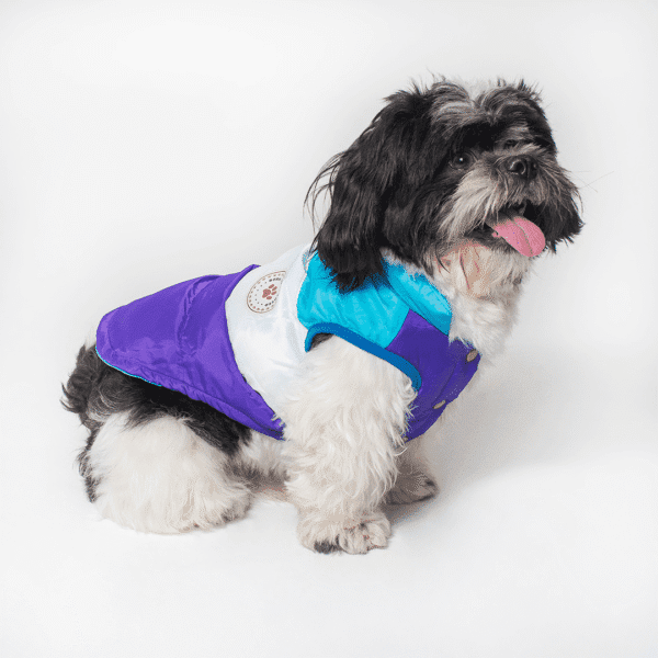 CHALECO ACOLCHADO - Ropa para perros y gatos