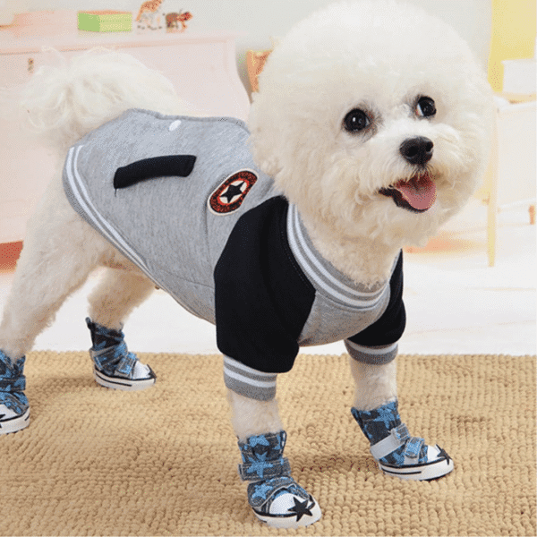 Diseño sin título (81) CASACA COLEGIO - Ropa para perros y gatos