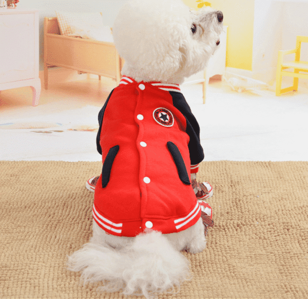 Diseño sin título (84) CASACA COLEGIO - Ropa para perros y gatos