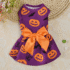VESTIDO CALABAZAS - Ropa para perros y gatos