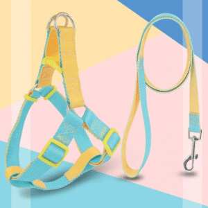 Diseño sin título ARNÉS DUAL + CORREA - Accesorios para perros