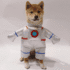 DISFRAZ ASTRONAUTA - Ropa para perros y gatos