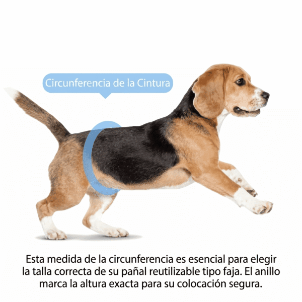 PAÑALES REUTILIZABLES PARA MASCOTAS