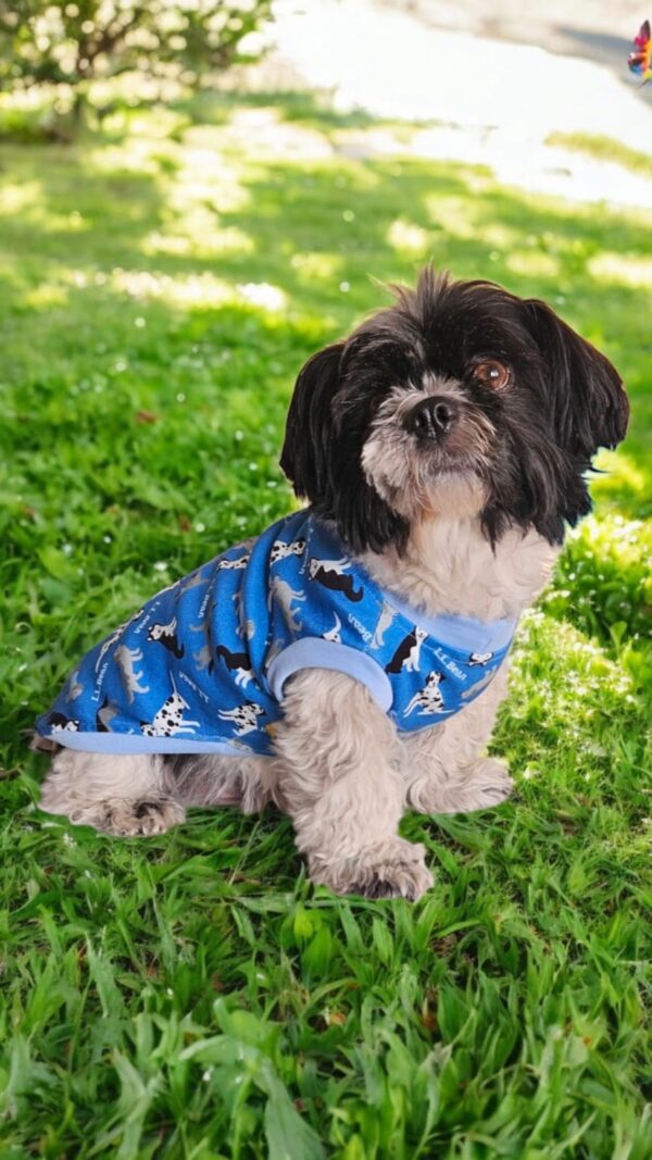 POLOS PERRITOS - Ropa para perros y gatos