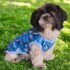 POLOS PERRITOS - Ropa para perros y gatos