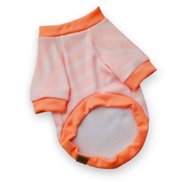 WhatsApp Image 2026-04-09 at 6.49.53 PM (3) CHOMPERA ZEBRA - Ropa para perros y gatos