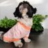 WhatsApp Image 2026-04-09 at 6.49.54 PM CHOMPERA ZEBRA - Ropa para perros y gatos