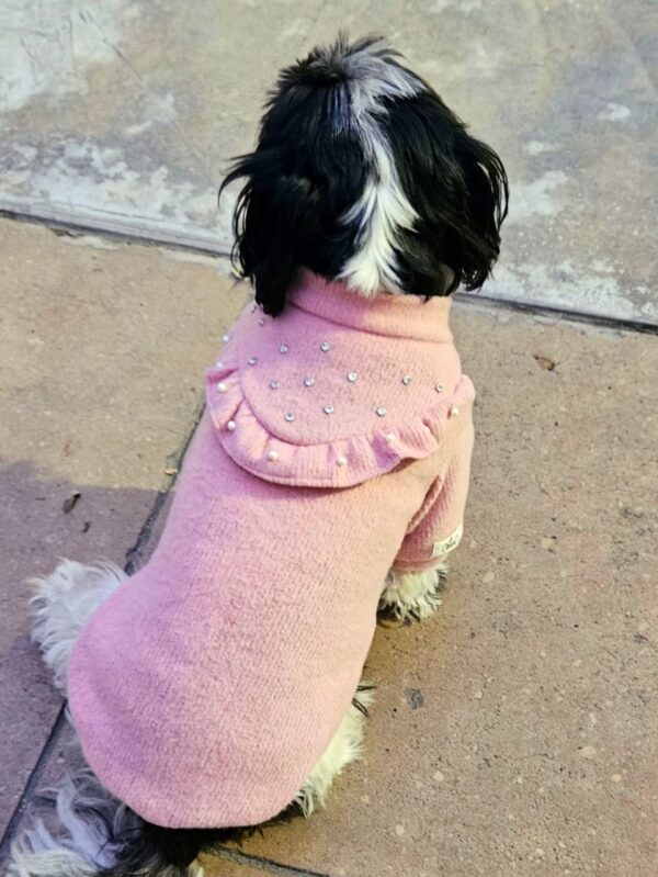 CHOMPERA PALO ROSA - Ropa para perros y gatos