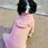 CHOMPERA PALO ROSA - Ropa para perros y gatos