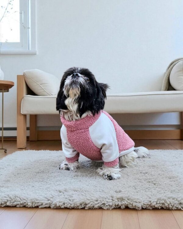 POLERA CARNERITO - Ropa para perros y gatos