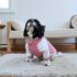 POLERA CARNERITO - Ropa para perros y gatos