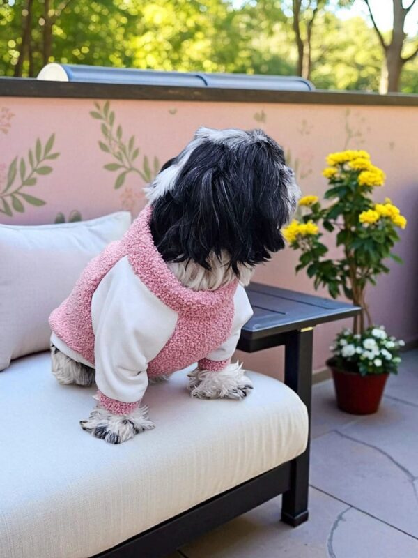 POLERA CARNERITO - Ropa para perros y gatos