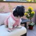POLERA CARNERITO - Ropa para perros y gatos