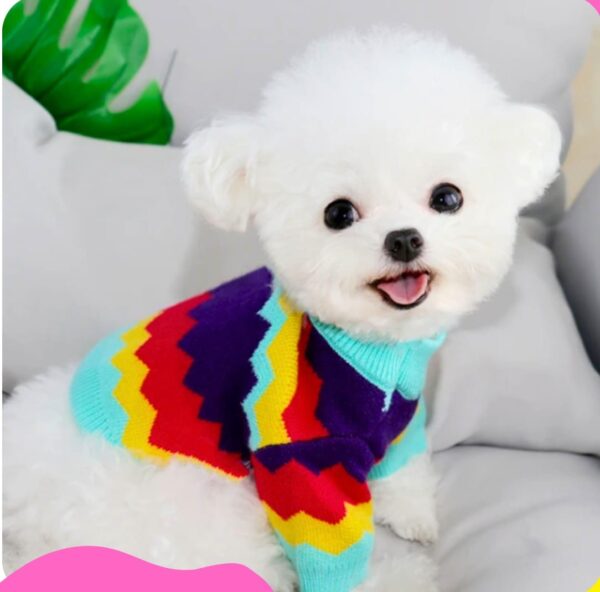 CHOMPA ZIG ZAG - Ropa para perros y gatos