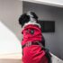 WhatsApp Image 2026-04-17 at 7.08.05 AM (1) ENTERIZO DISFRAZ D. POOL - Ropa para perros y gatos