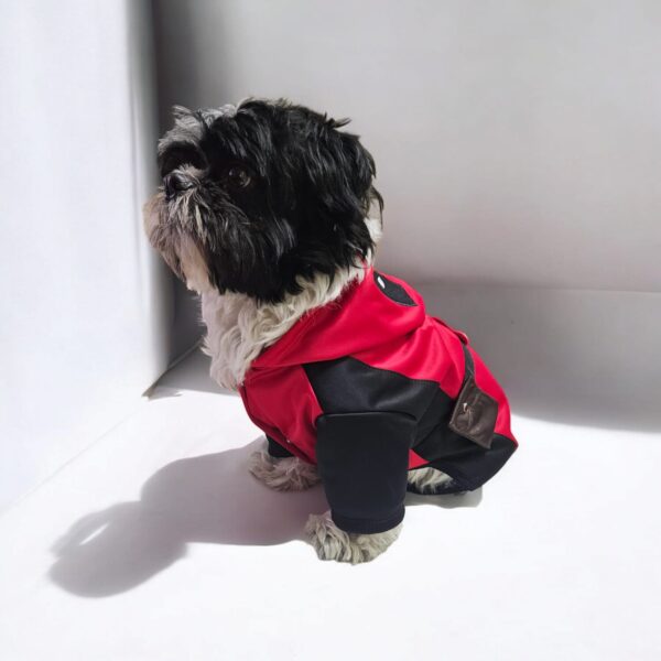 WhatsApp Image 2026-04-17 at 7.08.05 AM (2) ENTERIZO DISFRAZ D. POOL - Ropa para perros y gatos