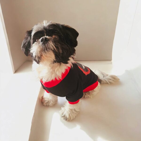 WhatsApp Image 2026-04-17 at 7.08.05 AM (3) POLO DEAD PL - Ropa para perros y gatos