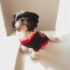 WhatsApp Image 2026-04-17 at 7.08.05 AM (3) POLO DEAD PL - Ropa para perros y gatos