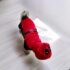 WhatsApp Image 2026-04-17 at 7.08.05 AM ENTERIZO DISFRAZ D. POOL - Ropa para perros y gatos