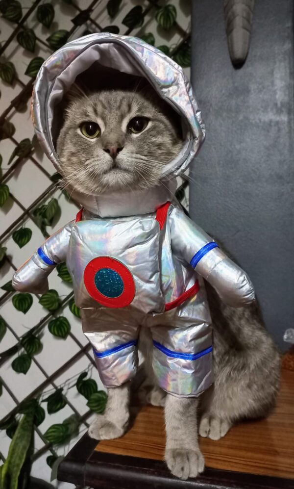 DISFRAZ ASTRONAUTA - Ropa para perros y gatos