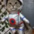 DISFRAZ ASTRONAUTA - Ropa para perros y gatos