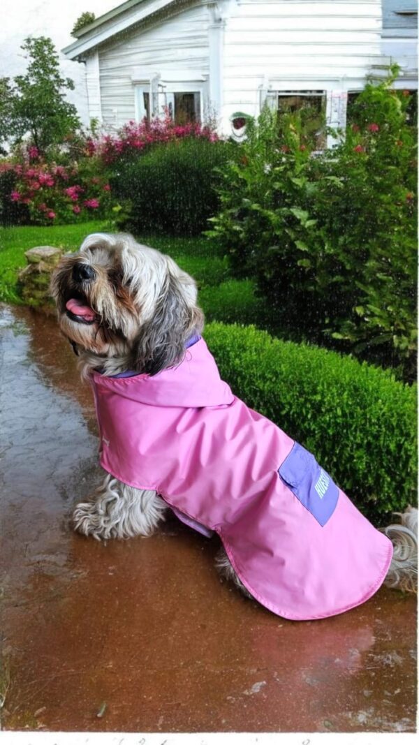 CAPA IMPERMEABLE PARA MASCOTAS CON CAPUCHA - Ropa para perros y gatos