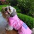 CAPA IMPERMEABLE PARA MASCOTAS CON CAPUCHA - Ropa para perros y gatos