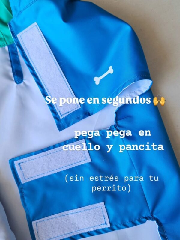 CAPA IMPERMEABLE PARA MASCOTAS CON CAPUCHA - Ropa para perros y gatos
