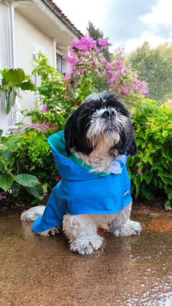 CAPA IMPERMEABLE PARA MASCOTAS CON CAPUCHA - Ropa para perros y gatos