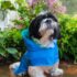 CAPA IMPERMEABLE PARA MASCOTAS CON CAPUCHA - Ropa para perros y gatos