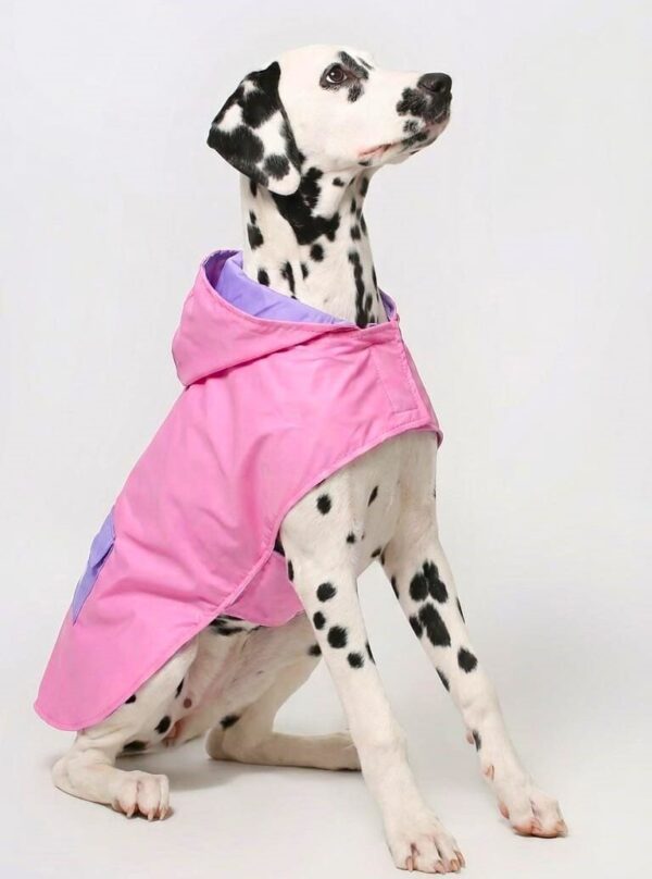 CAPA IMPERMEABLE PARA MASCOTAS CON CAPUCHA - Ropa para perros y gatos