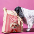 Gemini_Generated_Image_91r67i91r67i91r6 TOTE BAG HUESITO CLUB – Bolsa para Paseo con Mascotas