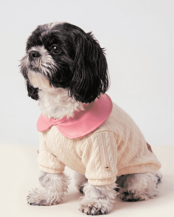 CHOMPERA CUELLO BEBE - Ropa para perros y gatos