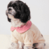 CHOMPERA CUELLO BEBE - Ropa para perros y gatos