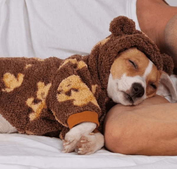 OSITOOS ENTERIZO OSITOS - Ropa para perros y gatos