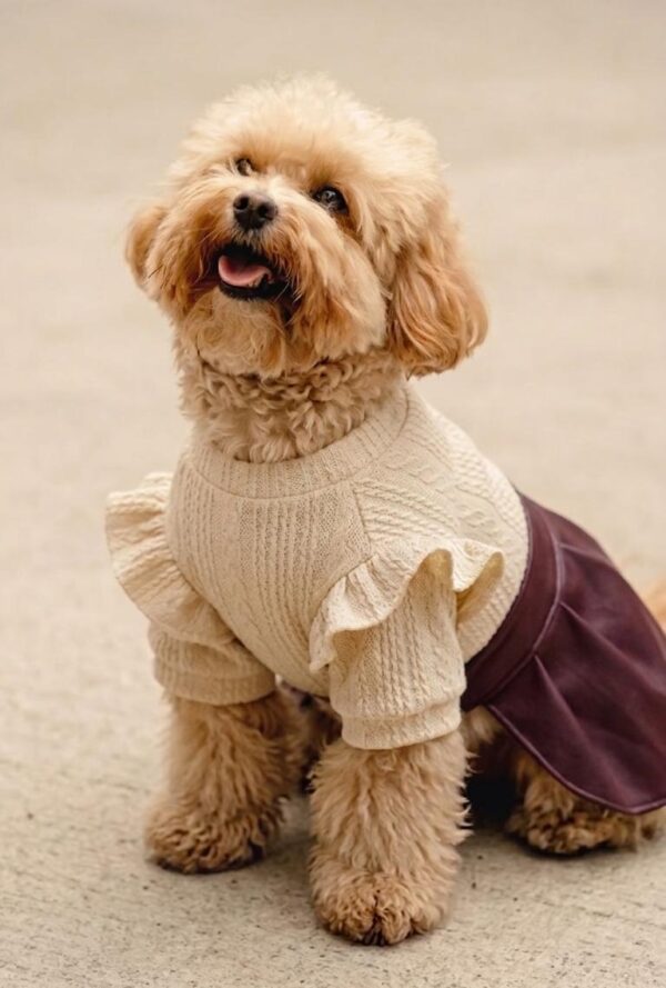 VESTIDO LAZO - Ropa para perros y gatos