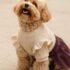 VESTIDO LAZO - Ropa para perros y gatos